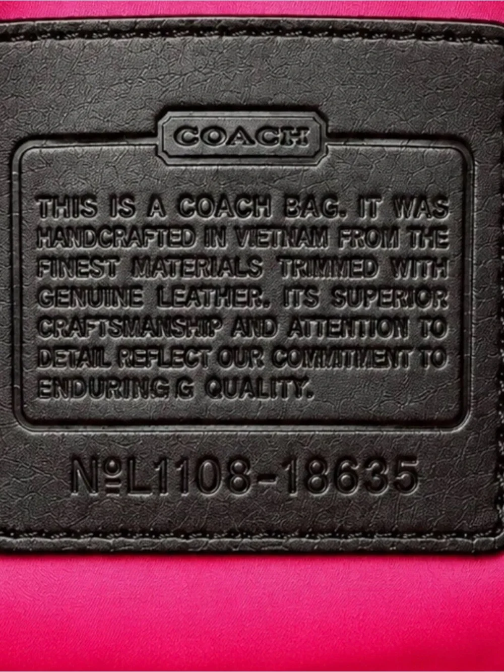 COACH Poppy Floral Graffiti Print